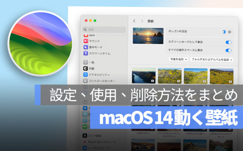 macOS 14 Sonoma 動く壁紙 設定