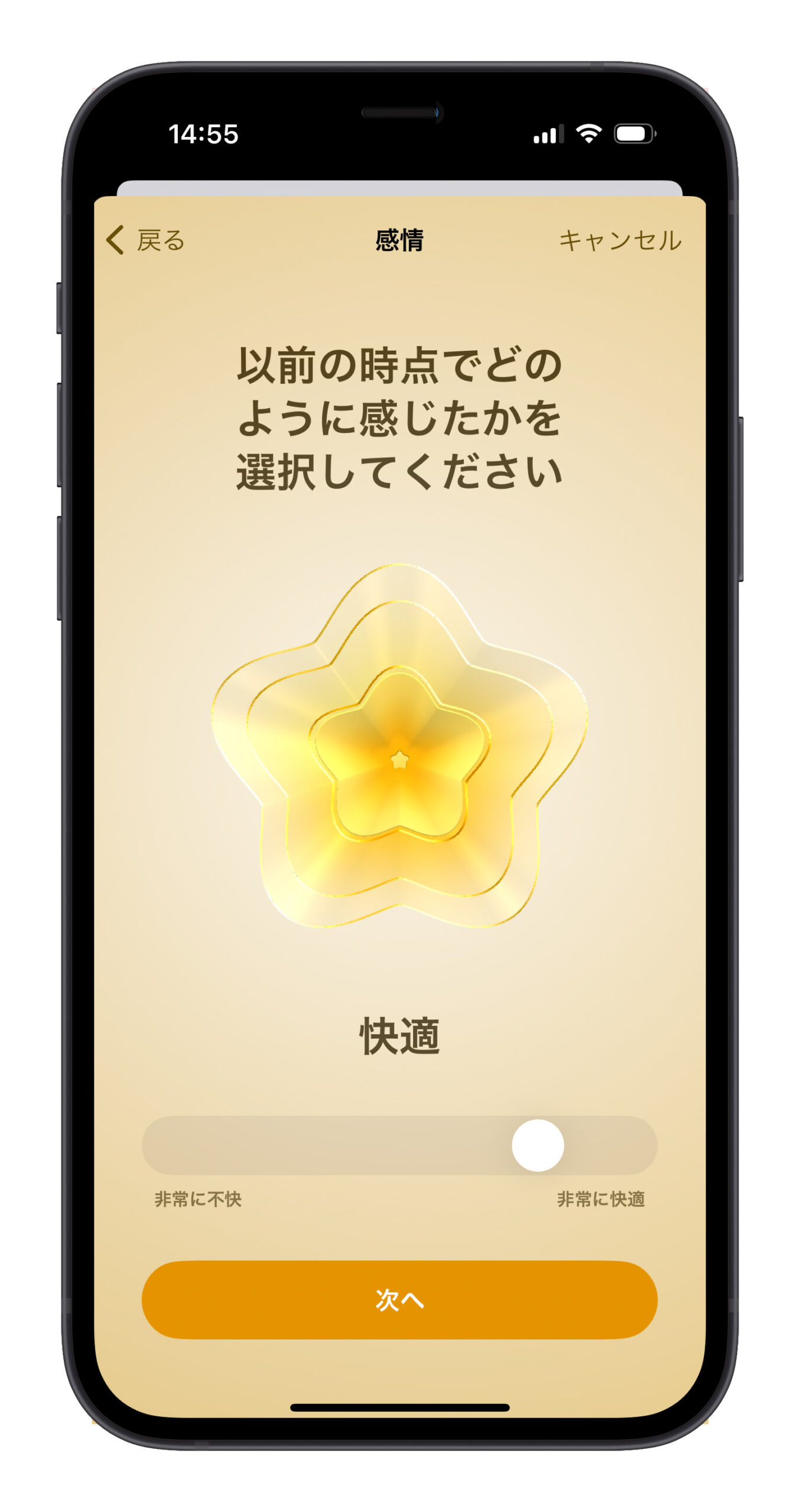 iOS 17 ヘルスケアアプリ 感情 気分 記録