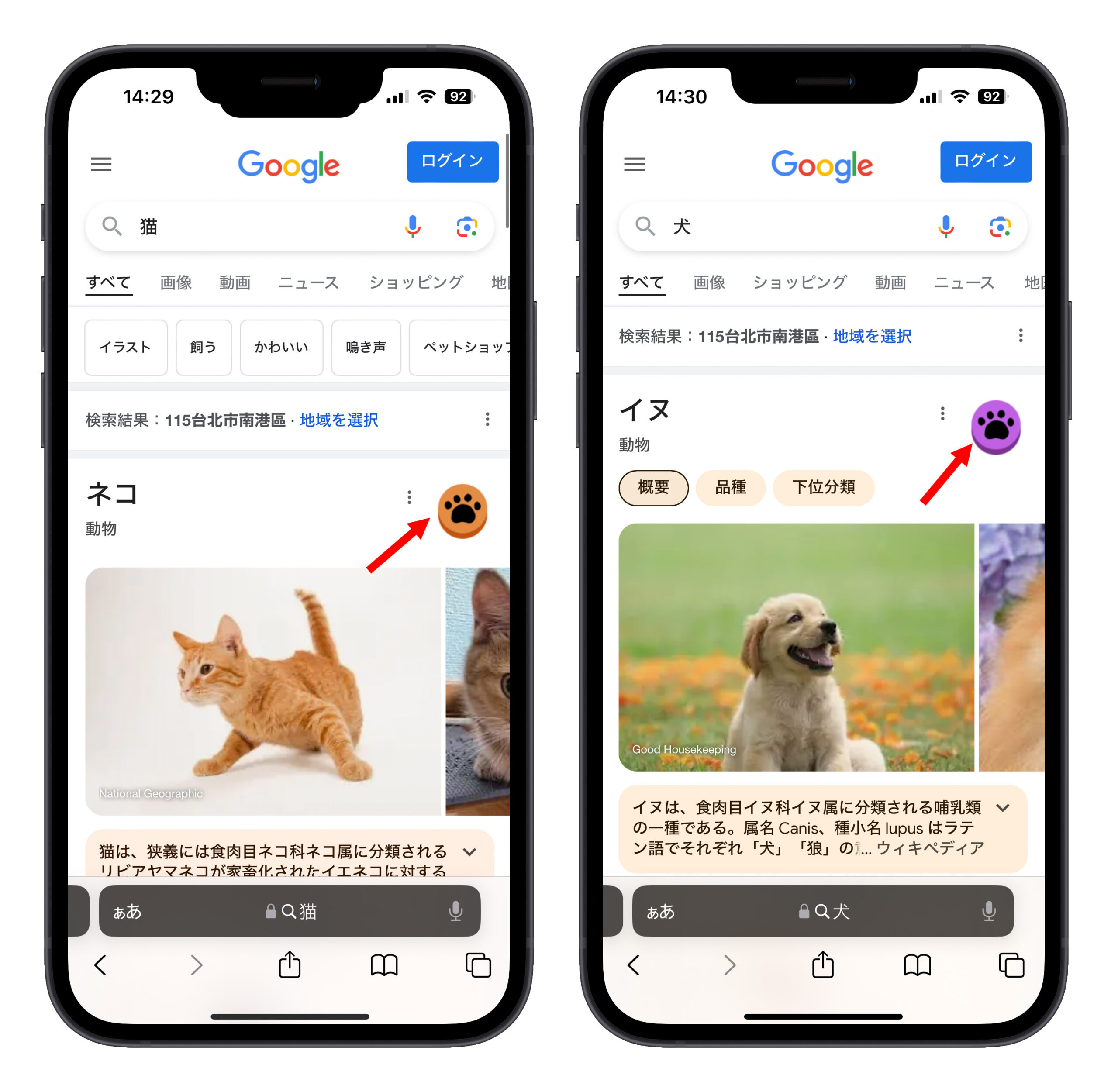 Google グーグル イースターエッグ 猫 犬