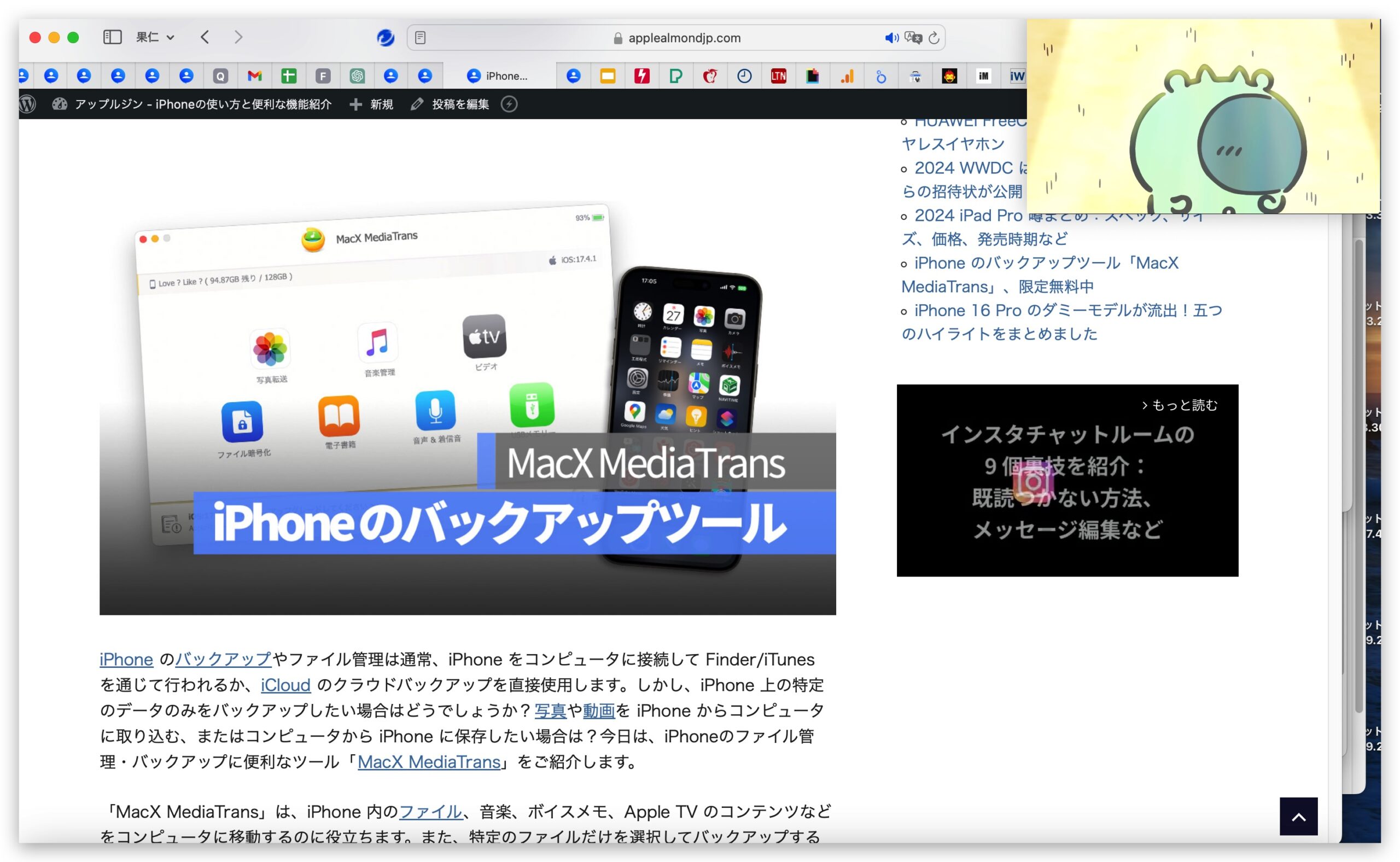 macOS Safari ピクチャインピクチャ