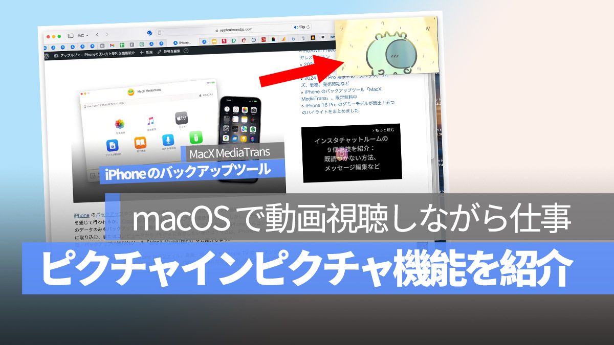 macOS Safari ピクチャインピクチャ