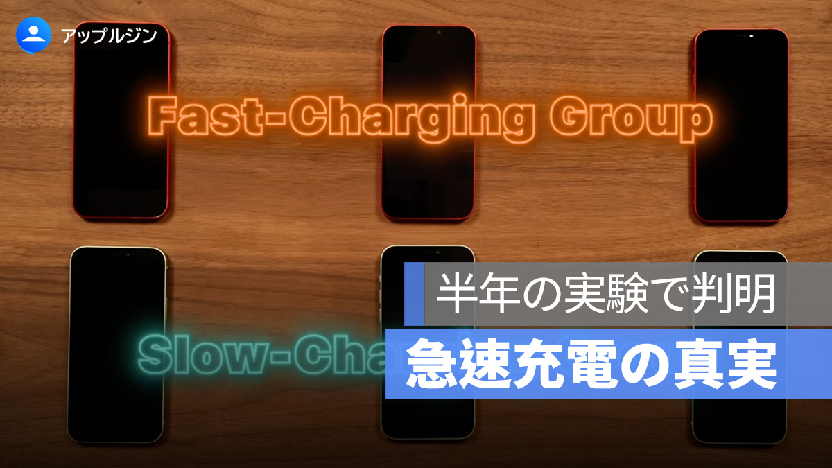 半年の実験で判明